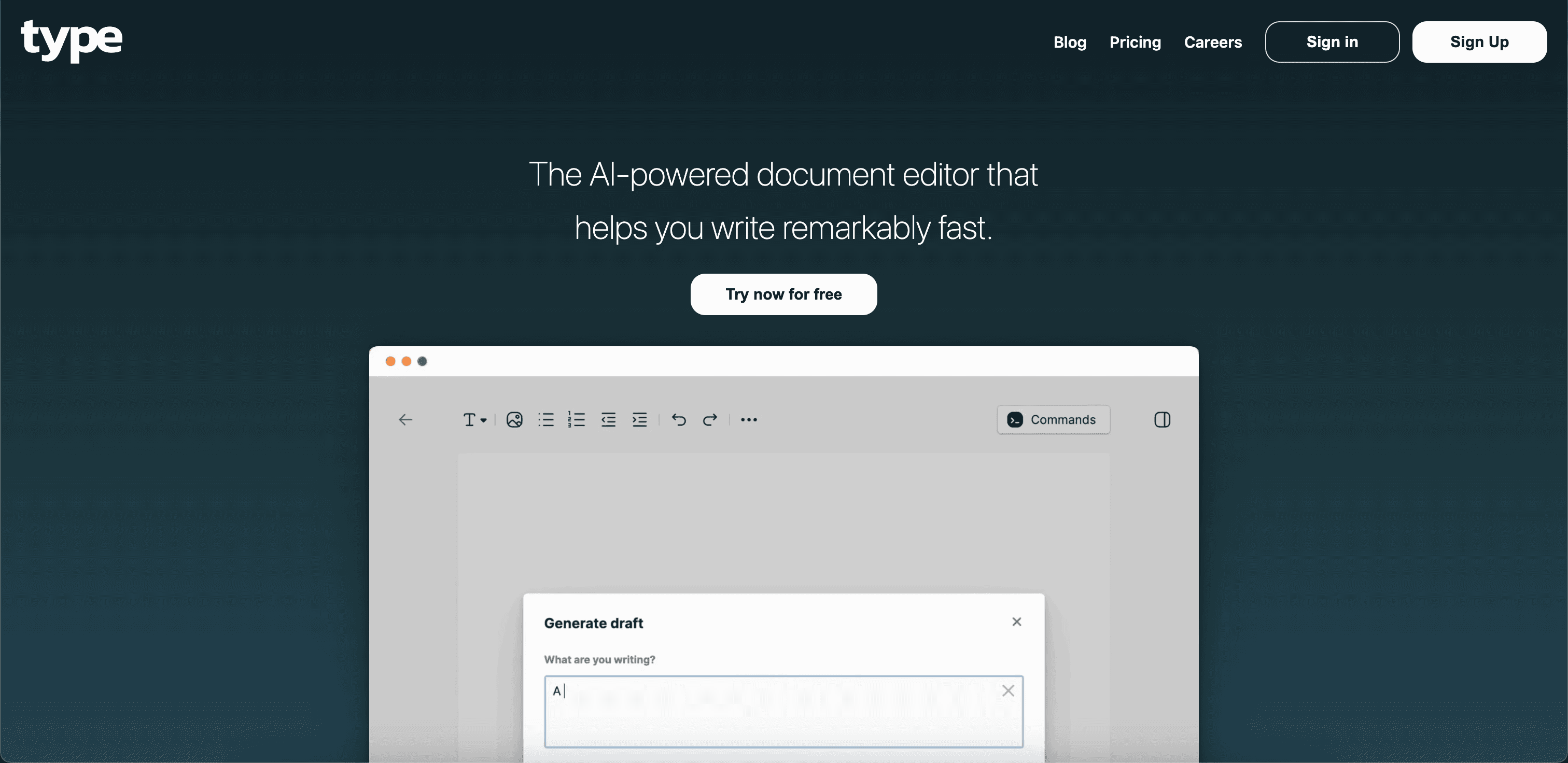 Type website screenshot