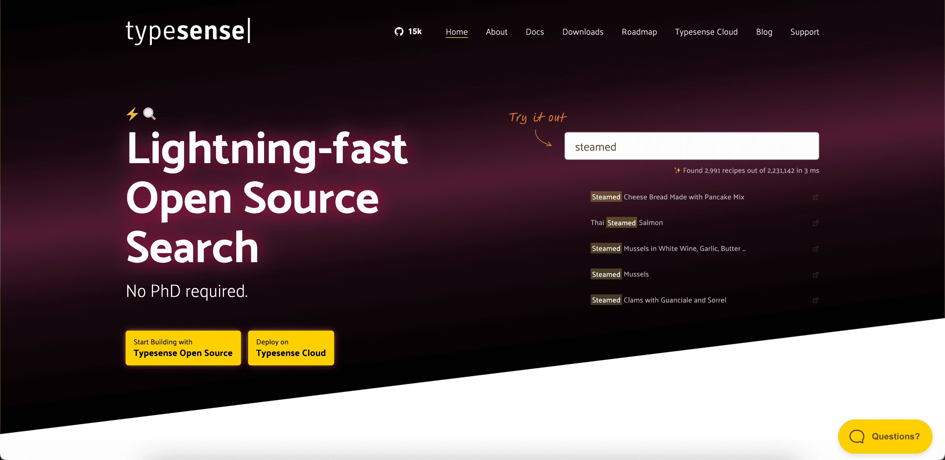 Typesense website screenshot